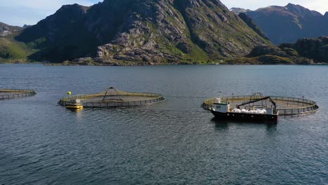 aerial footage farm salmon fishing in norway