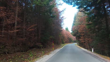 Conducir-A-Través-De-Bosques-En-Otoño,-Follaje-De-Otoño,-Desierto-Y-Conducción-Interior