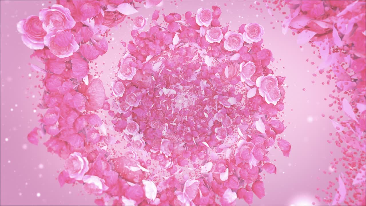 분홍색 배경에 분홍색 장미 잎자루 원