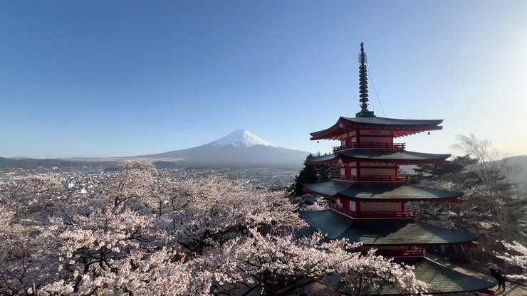 Splendido panorama sulla Pagoda Chureito vicino al Monte Fuji con i fiori di ciliegio.