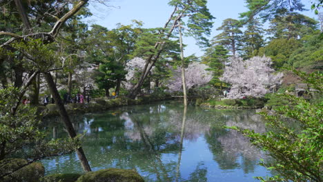 reflections of trees through kasumiga-ike pond at kenroku-en garden in kanazawa, ishikawa, japan