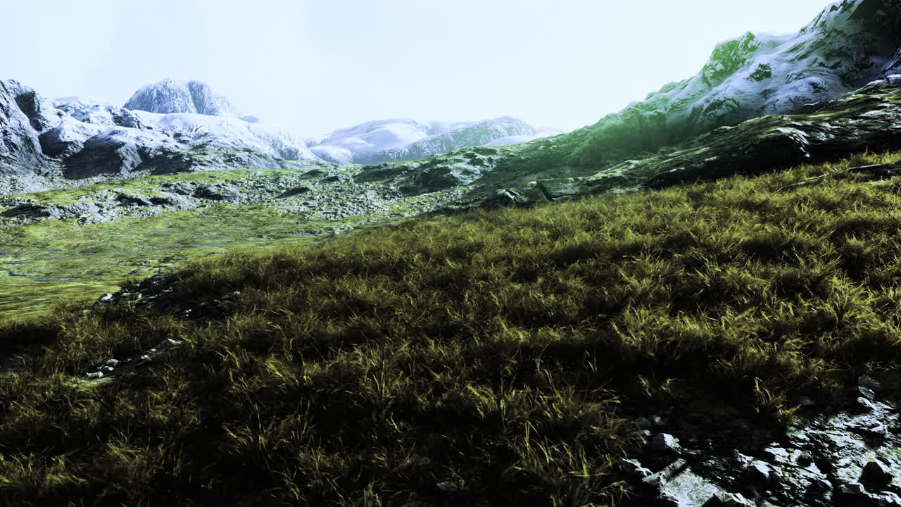 Vast green meadow stretches beneath majestic snow capped mountains
