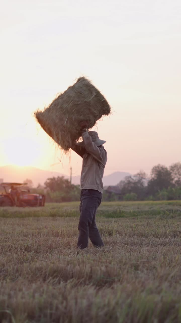 Petani membawa bal jerami di ladang saat matahari terbenam