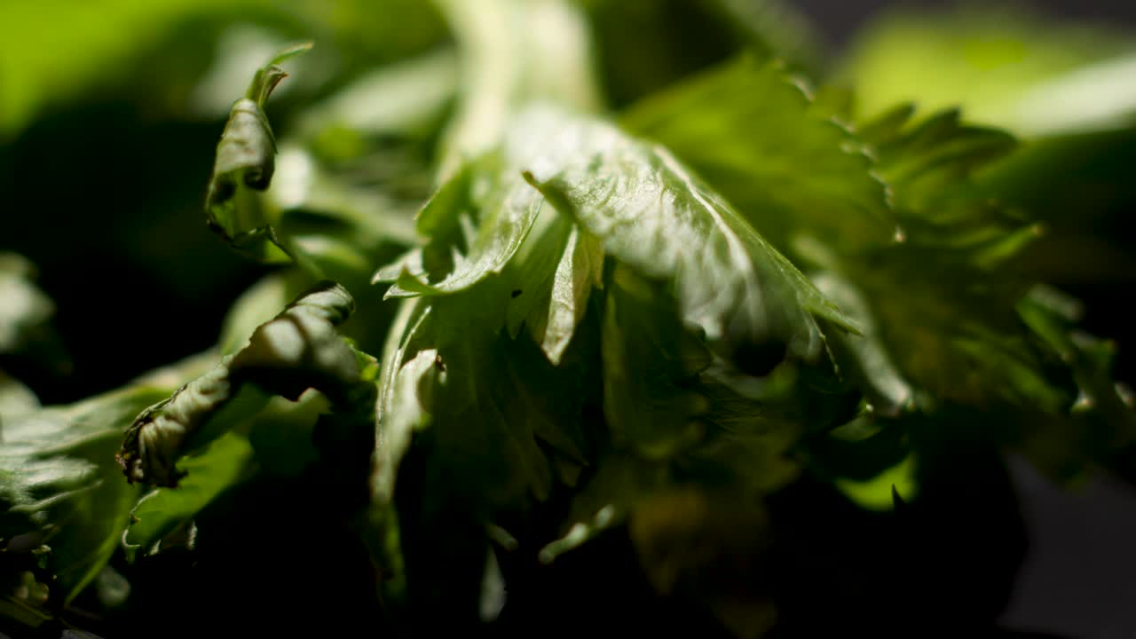 primer plano de apio fresco