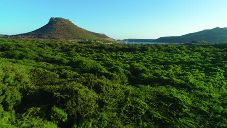 low flying dolly above tropical shrub dryland leading towards cinder cone by harbor, curacao