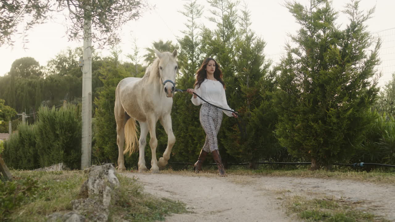 женщина гуляет с лошадью на открытом воздухе