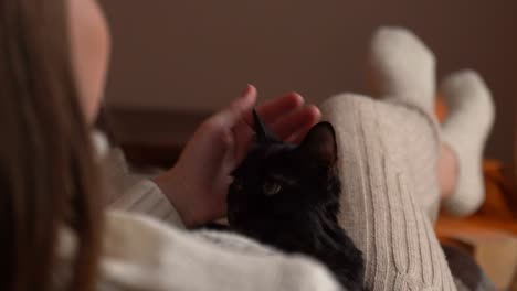 woman hands pet cute black cat sleeping in her lap in front of fireplace