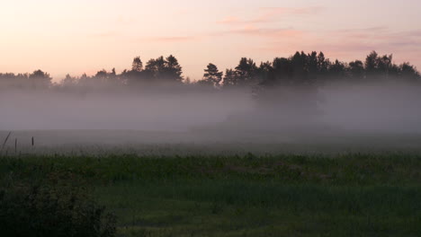 Zeitraffer-Des-Unheimlichen-Morgennebels,-Der-über-Das-Ländliche-Feld-Fegt