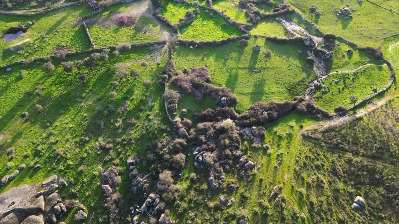 Dronebillede af landbrugsland opdelt af traditionelle stenmure, med grønne marker, græsningsarealer og lange skygger ved solnedgang