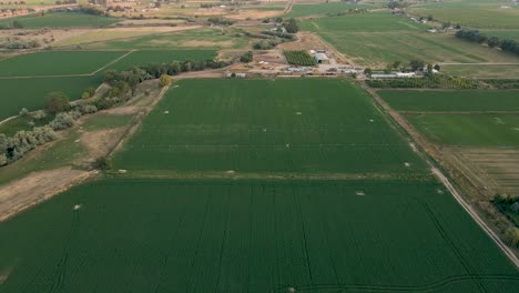 Parcela-De-Tierra-Agrícola-En-Entorno-Agrícola---Comunidad-En-Payson,-Utah---Dron-Aéreo