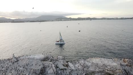 Toma-Aérea-Reveladora-De-Un-Catamarán-De-Crucero-En-El-Mar-Rodeado-De-Bandadas-De-Pájaros-Al-Atardecer.