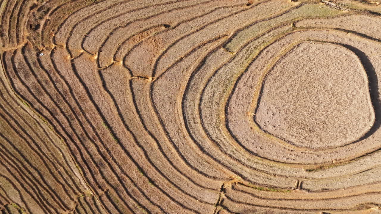 Aerial footage reveals an oval 'eye' shaped paddy surrounded by concentric terraces in a top-down view in Mui Giay, Mu Cang Chai district, Yen Bai province, Vietnam