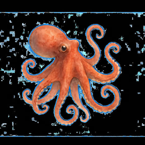 Vibrant octopus animation isolated asset, transparent 4K video, alpha channel, ProRes 4444