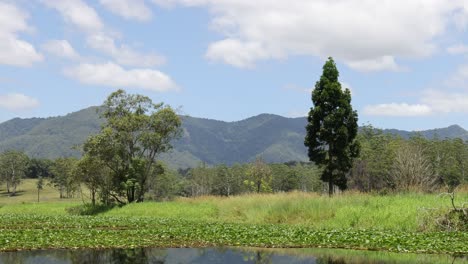 time-lapse of a wetland landscape over 41 seconds