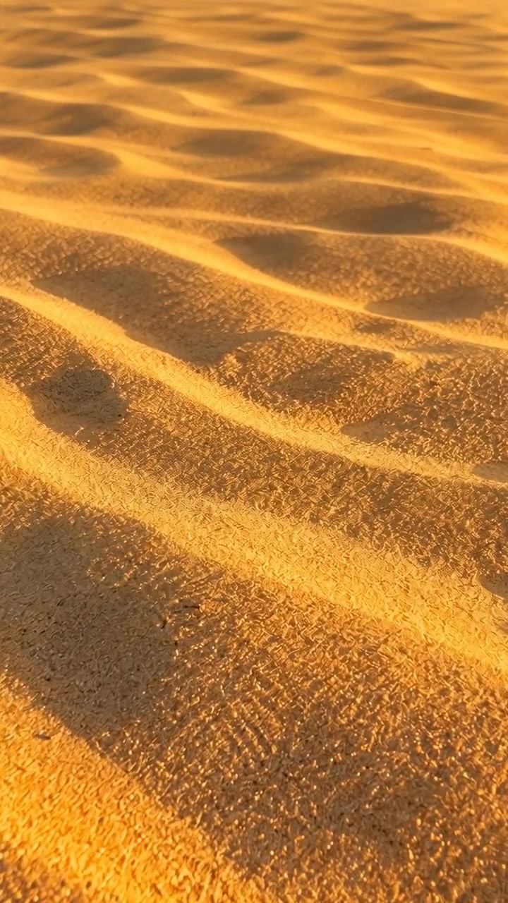 Close-up em movimento de ondulações de areia moldadas pelo vento estendendo-se em uma vista ao nível do solo, com luz solar dourada, sombras suaves, textura fina e uma atmosfera natural e tranquila de deserto, com areia, ondulação, duna.