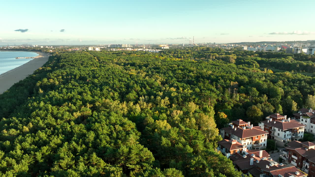 Aerial View of Coastal City with Beach, Forest, and Residential Area