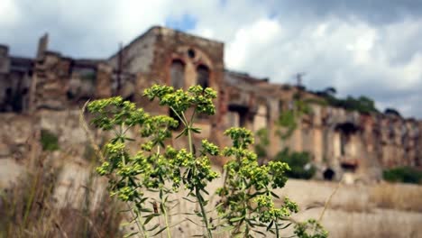 patrimonio industrial de un sitio de trabajo abandonado, naracauli, sardaigna