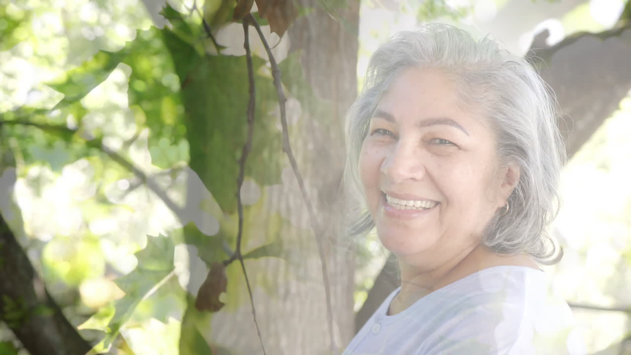 정원에서 미소 짓는 고위 두 인종 여성 위에 빛의 반점과 나무의 애니메이션