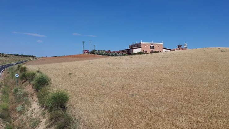 Gothic Winery, a beautiful family winery in Rueda, Spain-13