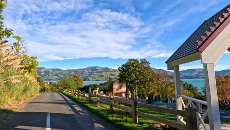 a serene drive along a tree-lined road in akaroa, showcasing vibrant autumn foliage and distant hills under a clear blue sky