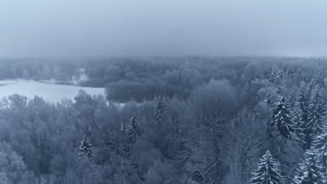 aerial drone pan shot over frozen lake surrounded by white snow covered coniferous trees on a coldy winter day