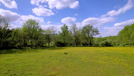 Flores-En-Pasto-Aéreo-En-Primavera-Cerca-De-Mountain-City-Tennessee