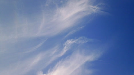 Summer-sky-timelapse-from-low-angle