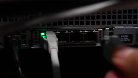 enchufando a mano cuatro cables ethernet de red en el conmutador del servidor de red, toma de primer plano