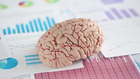 human brain mockup and financial business indicators in graphs