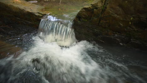 close up of a small waterfall on a creek in the ouachita mountains arkansas