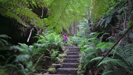 chica indígena australiana bajando las escaleras en las montañas azules, nsw australia