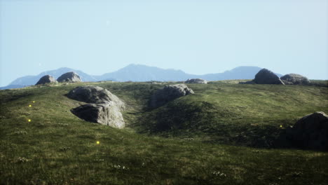 a view of a grassy field with mountains in the background