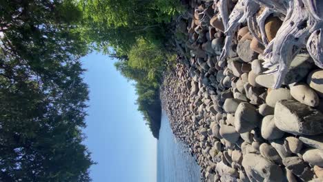 peaceful rocky lake shore on a sunny day