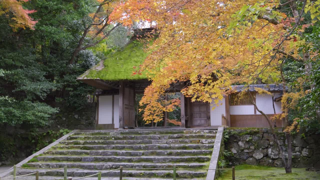 deslizador lento sobre el paisaje de colores de otoño en el templo de hoenin en kyoto, japón