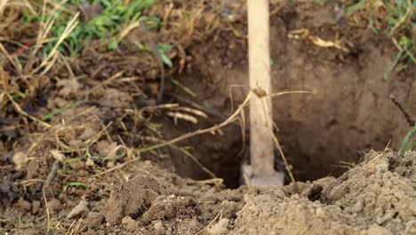 Digging-Well-with-a-Shovel