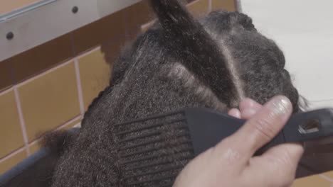 slow motion of an african kid having her afro hair brushed