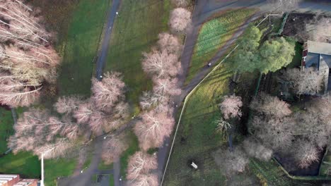 Spinning-Overhead-Aerial-Above-People-Walking-City-Park-Pathway-In-Leafless-Fall