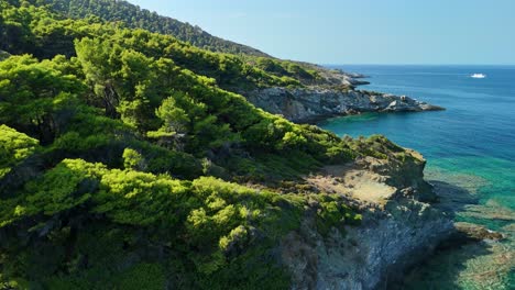 a scenic coastline with clear blue waters and lush green cliffs, aerial view