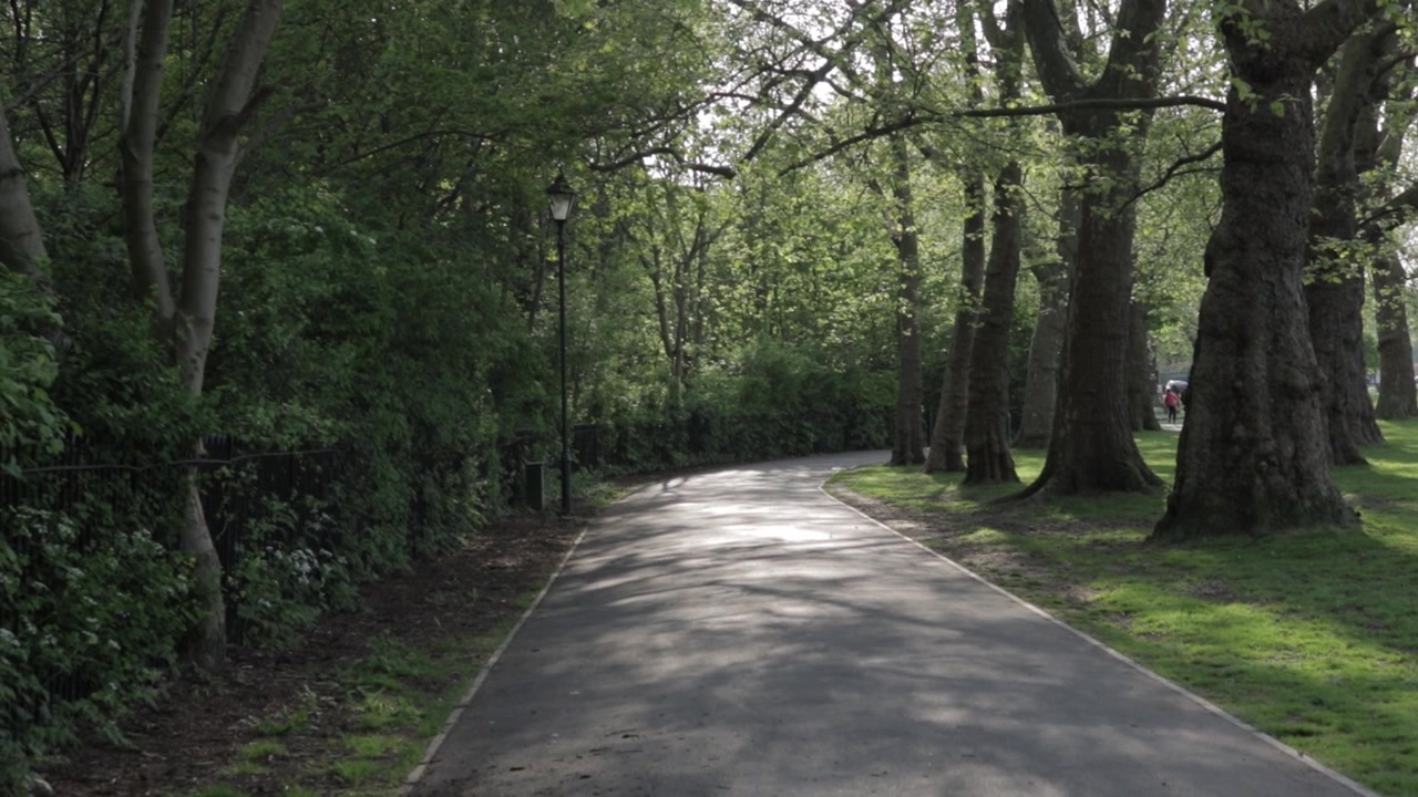 Vista a livello del suolo di un tranquillo sentiero lastricato che si snoda tra alberi alti e maturi a Peckham Rye Park, Londra