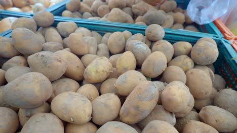 fresh potatoes at the market