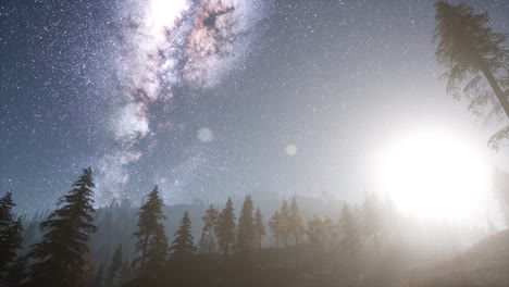 estrellas de la vía láctea con la luz de la luna sobre el bosque de pinos