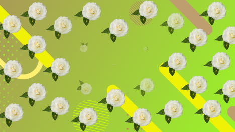 animación de rosas sobre fondo verde con diversas formas