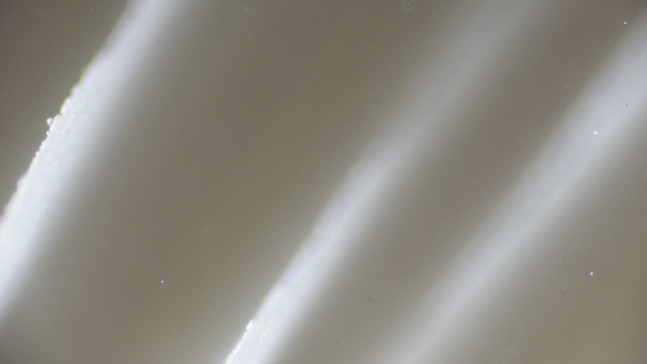 close-up tiro de esporos entre as brânquias de um cogumelo