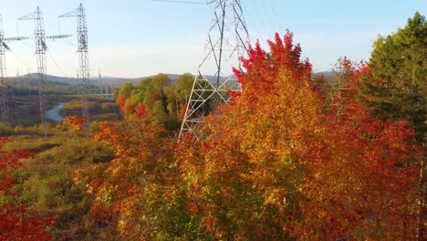 electric power lines criss-crossing the woodlands located in montréal, québec, canada