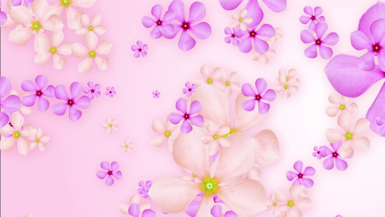 Pink evergreen flowers in the air suspended from other flowers floating left to right in wavy form