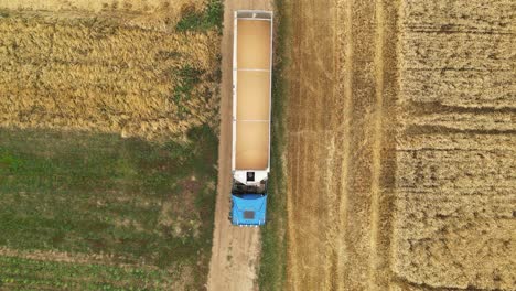 Vista-Por-Drones-De-Un-Camión-Lleno-De-Granos-De-Trigo-Durante-La-Cosecha-De-Cereales