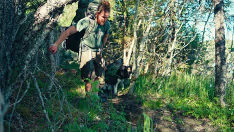 Perro-Malamute-De-Alaska-Y-Excursionista-Con-Mochila-De-Trekking-Por-Un-Estrecho-Sendero-Húmedo-En-El-Bosque