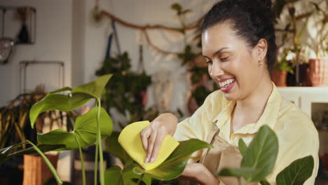 woman cleaning houseplants in a floral shop