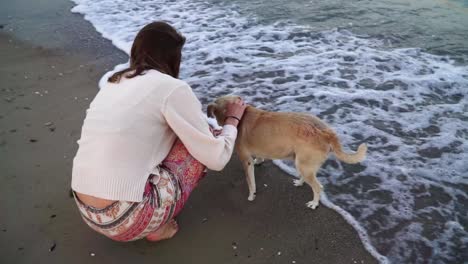 girl playing with dog one the beach