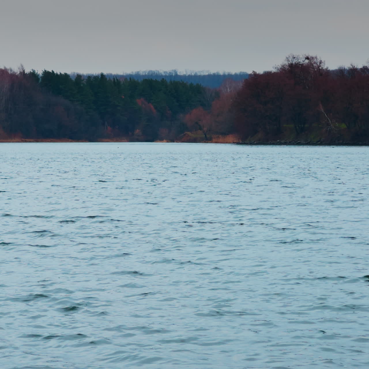 Waterscape with dark wooded waterfront at backdrop. Dull weather on late autumn daytime on river.